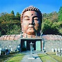 ハニベ釈迦牟尼大仏