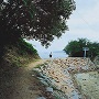 興居島